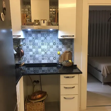 Beautiful 1 Bedroom Studio Daire *